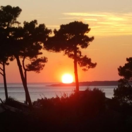 Chambre D'Hotes Pyla Sur Mer Ла Тест-де-Бух Екстериор снимка